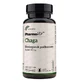 Chaga 4:1 - 90 capsules ( Spinneret subcortical) Pharmovit Classic
