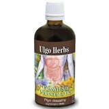 Ulgo Herbs digestie și peristaltism 100ml Inwent Herbs