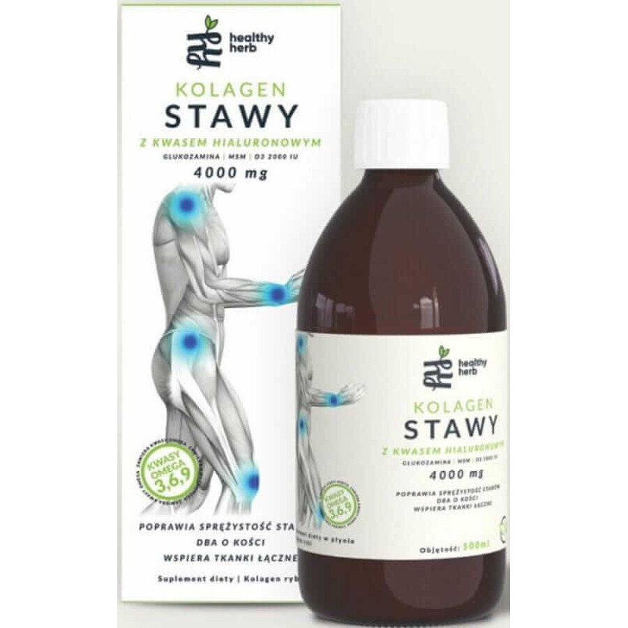 Healthy Herb Collagen 500ml avec acide hyaluronique