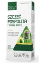 Szczeć pospolita (Teasel Root) 500mg, 60 kapsułek Medica Herbs