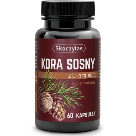 Skoczylas Pinienrinde mit Arginin 60 Kapseln