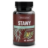 Skoczylas Gelenke 60 Kapseln