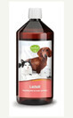 Atlantic salmon oil for dogs and cats 1000 ml Tierlieb Sanct Bernhard