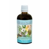 Gastro Herbs 100ml - Inwent Herbs