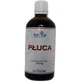 Lung 100 ml Invent Farm