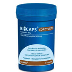 Bicaps Cordyceps 60 Kapseln - Formeds Bicaps Cordyceps 60 Kapseln - Formeds