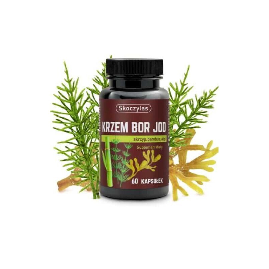 Skoczylas Silicium, Borium, Jodium 60 capsules