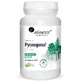 Pycnogenol®-Extrakt 65% 50 mg - 60 Tabletten Aliness