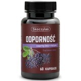 Skoczylas Immunität Holunderbeere + Rutin 60 Kapseln