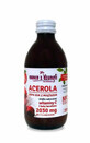 Acerola pulp juice 100% 250 ml