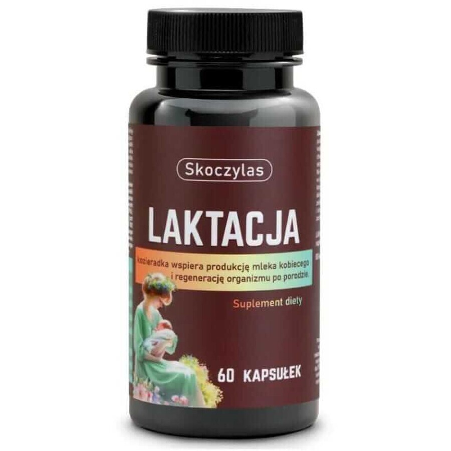Skoczylas Lactation pour les femmes qui allaitent 60 gélules
