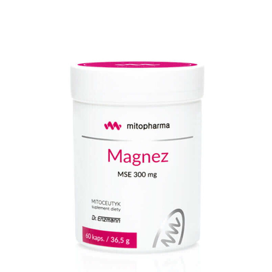 Magnesium MSE 300mg Dr Enzmann 60 capsules