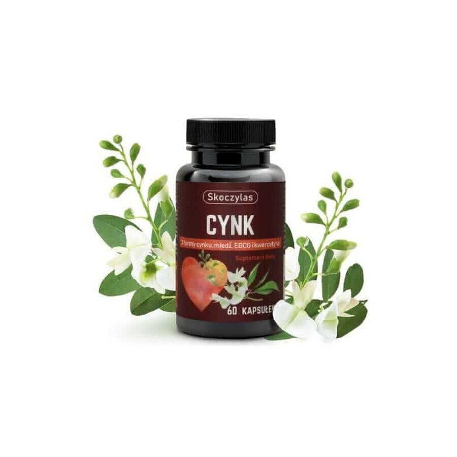 Skoczylas Zinco 3 forme, rame, EGCG e quercetina 60 capsule