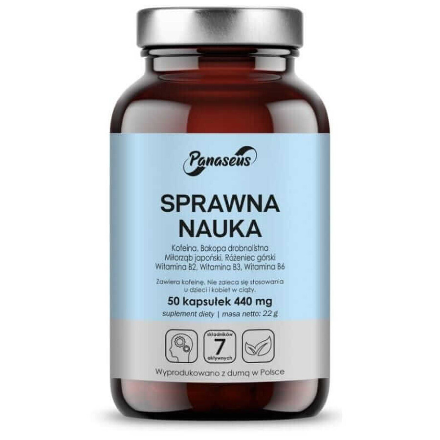 Apprendimento efficace 50 capsule Panaseus