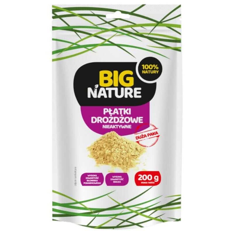 Lievito inattivo in scaglie 200g Big Nature