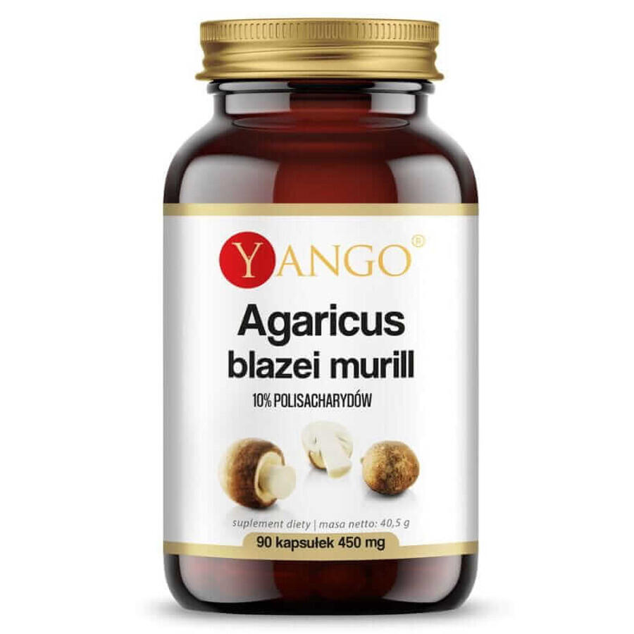 Agaricus - 10% extracto de polisacáridos - 90 cáps. YANGO