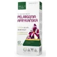 Geranium africain 60 gélules Medica Herbs