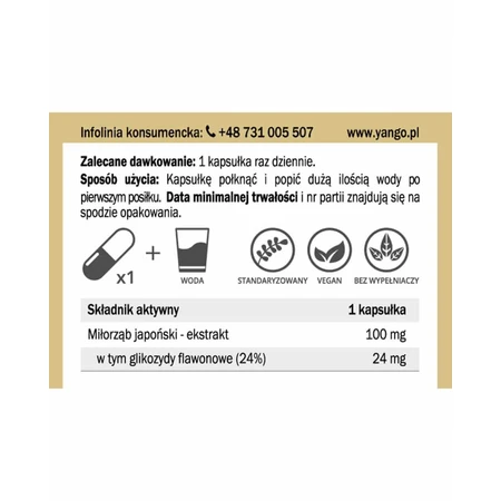 Ginkgo biloba extract 24% (100mg 90 capsules) Yango