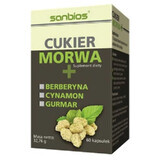 Mûrier à sucre + Berbérine, Cannelle, Gurmar 60 gélules SANBIOS