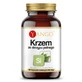 Silicium - Akkerpaardenstaartextract - 90 capsules, Yango