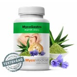 MycoGastro 90g MycoMedica