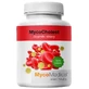 MycoCholest 120 cápsulas MycoMedica