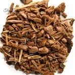 Biologische eikenschors 100g GIFTS OF NATURE