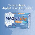 MagneVie Stress Resist with Ashwaghanda 80mg + 60 mg magnesium + 1.4mg vitamin B6, nervous system and stress resistance, 30 tablets MagneVie Stress Resist with Ashwaghanda 80mg + 60 mg magnesium + 1.4mg vitamin B6, nervous system and stress resistance, 30 tablets