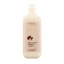 Shampoo voor bescherming van de haarkleur, 400 ml, Viorica