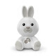 Chicco