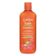 Champú revitalizante del cuero cabelludo con extracto de guayaba, 400 ml, Cantu