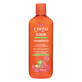 Scalp invigorating shampoo with guava extract, 400 ml, Cantu
