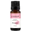 Aceite esencial complejo Sinusitis, 10 ml, Zanna