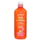 Hoofdhuid revitaliserende conditioner met guave-extract, 400 ml, Cantu