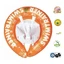 Swimtrainer classic, orange, 2-6 ans, 10220, Freds Swim Academy