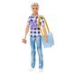 Ken at Picnic doll, +3 years, Barbie