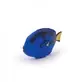Surgeon Fish Figurine, + 3 years, Papo