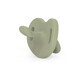 Anatomic silicone pacifier SX Pro Colour Essence, 6-18 months, Green, Suavinex