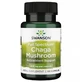 Chaga paddenstoel, 60 capsules, Swanson