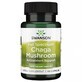 Chaga Mushroom, 60 capsules, Swanson