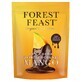Mango slices wrapped in Belgian dark chocolate, 100 g, Forest Feast