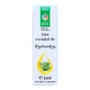 Koriander etherische olie, 5 ml, Divine Star