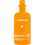 souldrops Sundrop Nettoyant pour vases, 750 ml