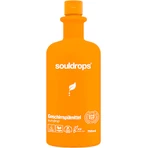 souldrops Sundrop Nettoyant pour vases, 750 ml