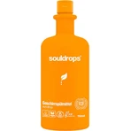 souldrops Sundrop Nettoyant pour vases, 750 ml