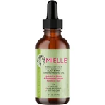 MIELLE Aceite para el cuero cabelludo y el cabello con romero y menta, 59 ml
