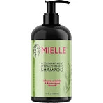 MIELLE Rosmarin und Minze Shampoo 335 ml