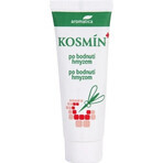 Aromatica Cosmin after insect bites 1×25 ml, ointment