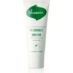 Aromatica Cosmin after insect bites 1×25 ml, ointment