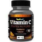 Vitamina C 500 mg SALUTEM Immune Complex 1×60 tbl, compresse per aspirazione Vitamina C 500 mg SALUTEM Immune Complex 1×60 tbl, compresse per aspirazione